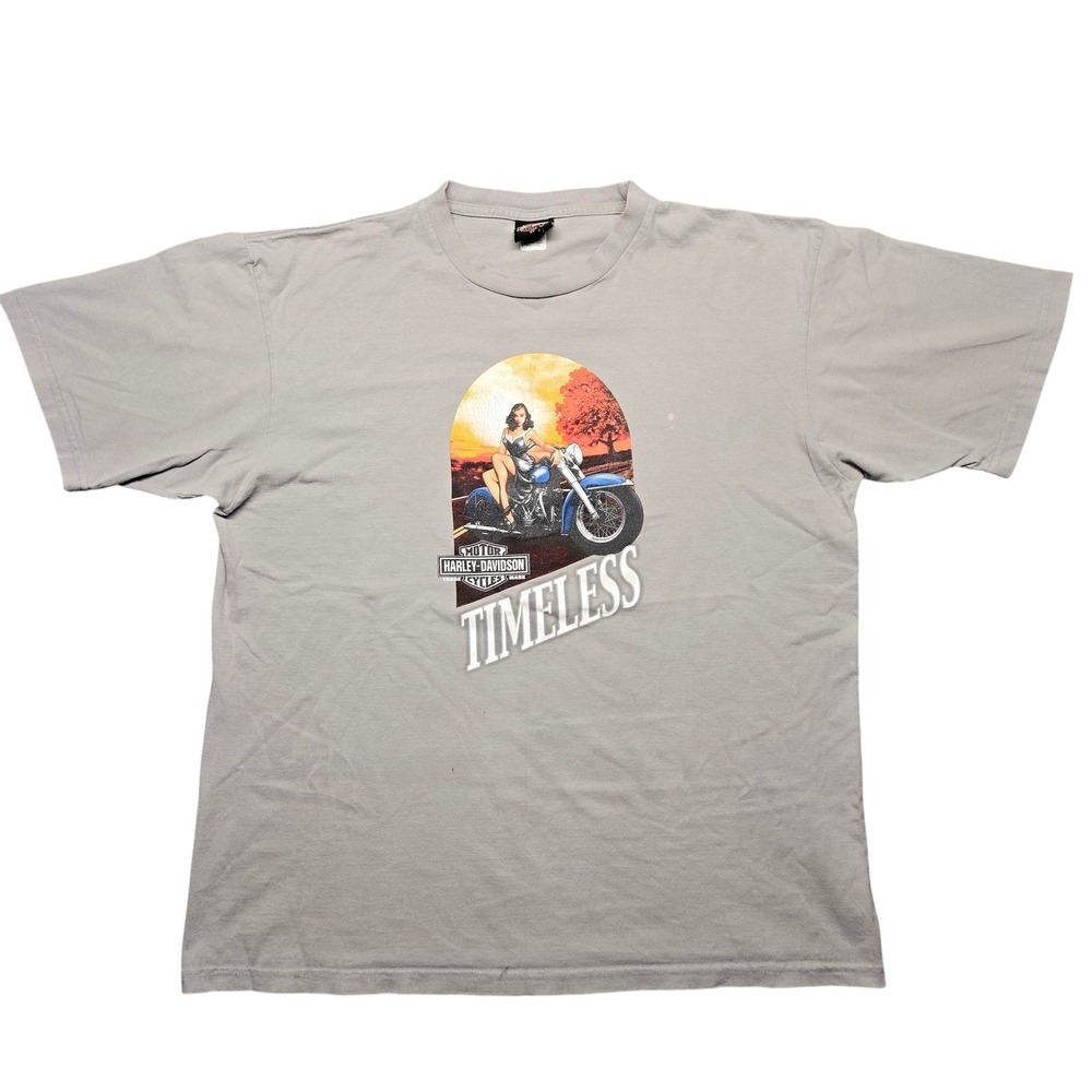 Vintage Harley-Davidson Shirt Mens 2XL Gray Timeless Pin‎ Up Motorcycle Tee